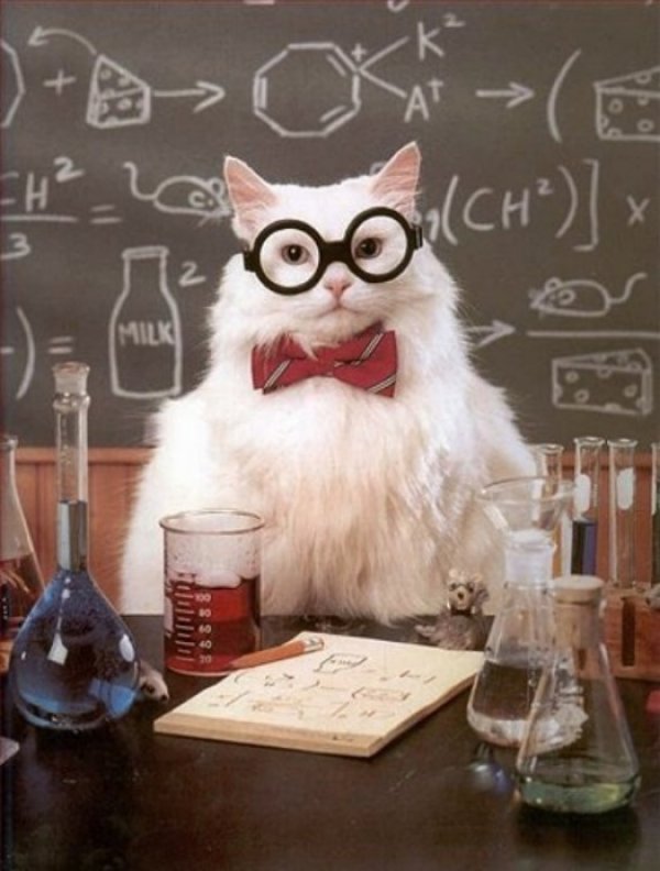 chemistry_cat