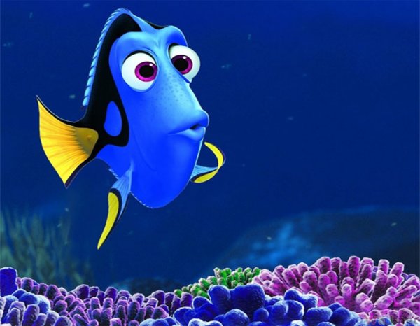dory_from_nemo_5_second_memory