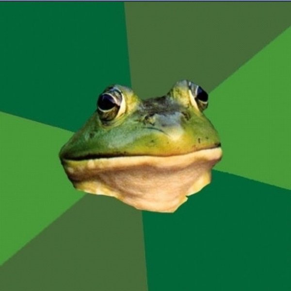 foul_bachelor_frog