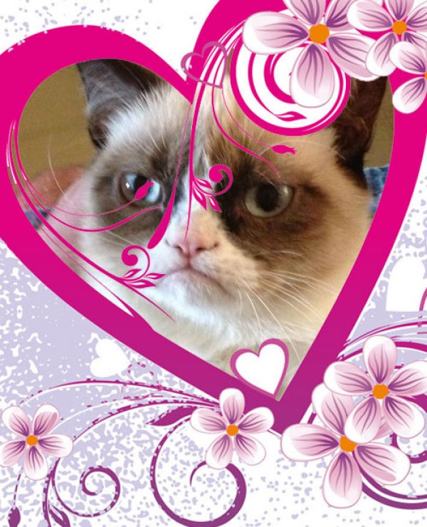 grumpy_cat_valentines_day