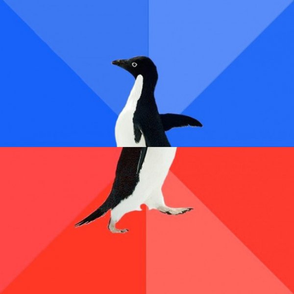 socially-awkward-awesome-penguin