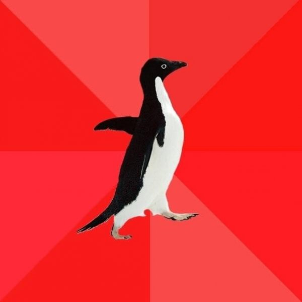 socially_awesome_penguin