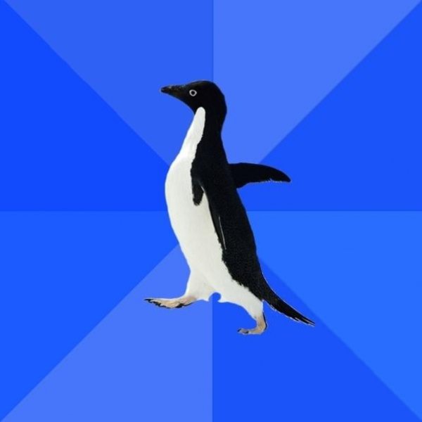 socially_awkward_penguin
